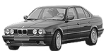 BMW E34 P1433 Fault Code
